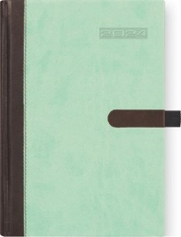 Naptár, tervező, A5, napi, DAYLINER "Winner", menta